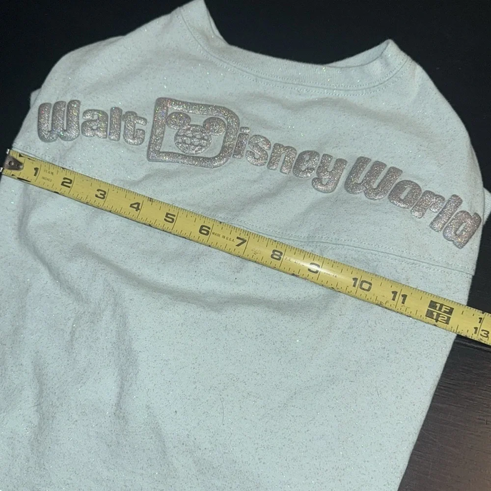 Walt Disney World, dog‎ spirit jersey